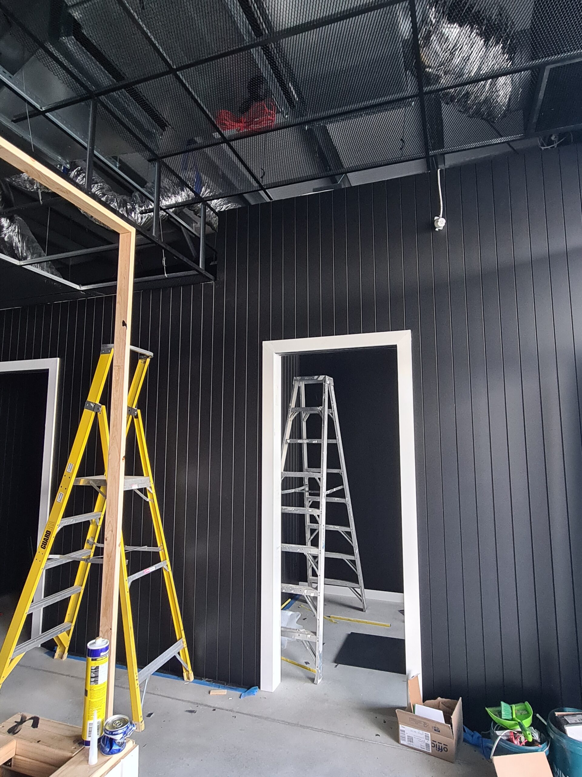 Danton Development Project